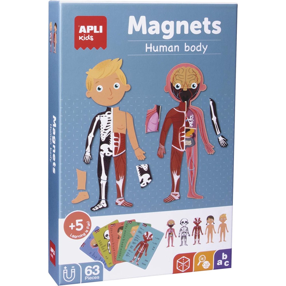 MAGNETS EL CUERPO HUMANO